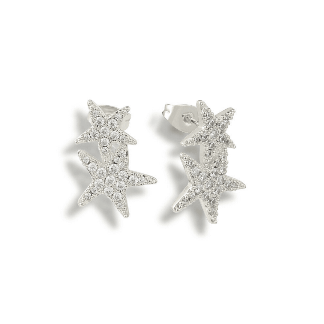 Hidden in the Sand Earrings - EVRYJEWELS